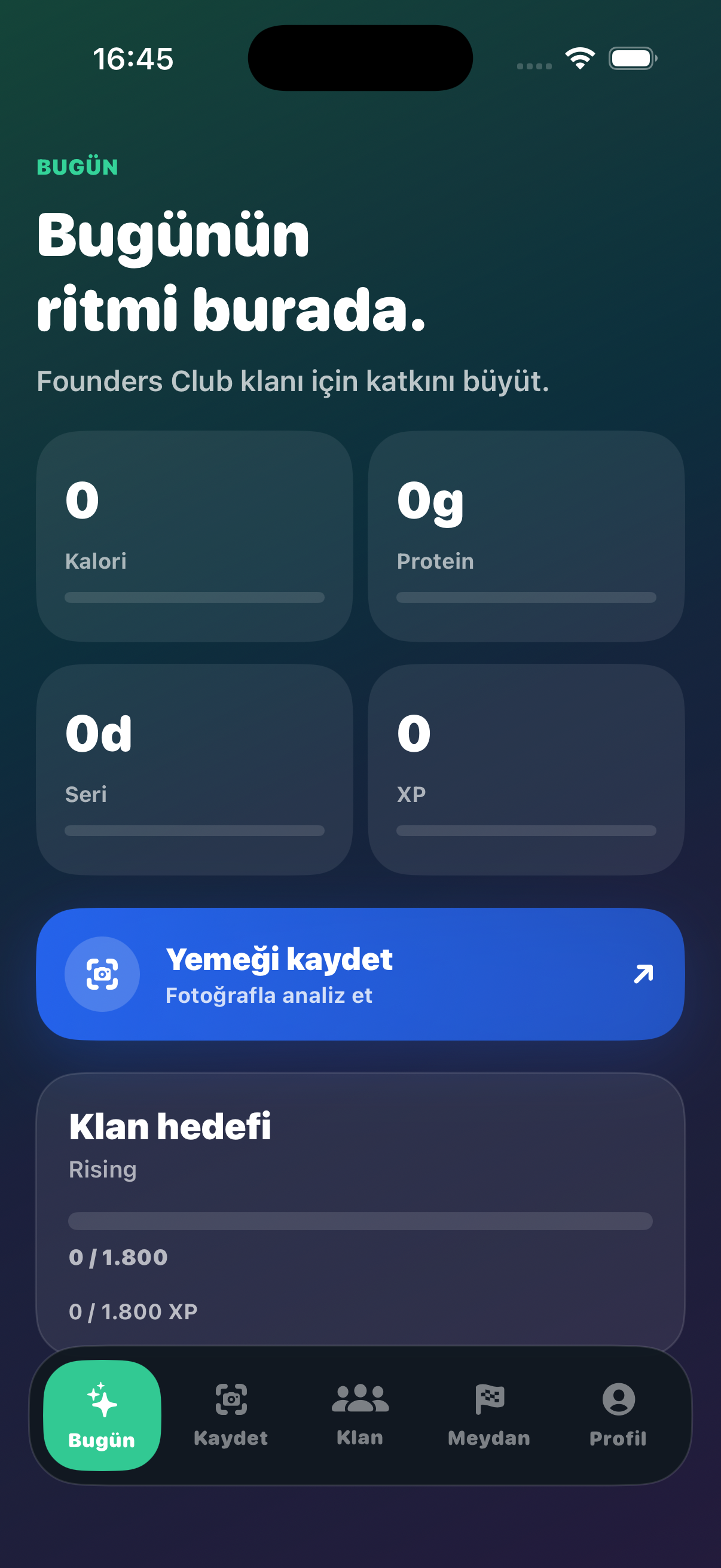 Napifit ana ekran önizlemesi